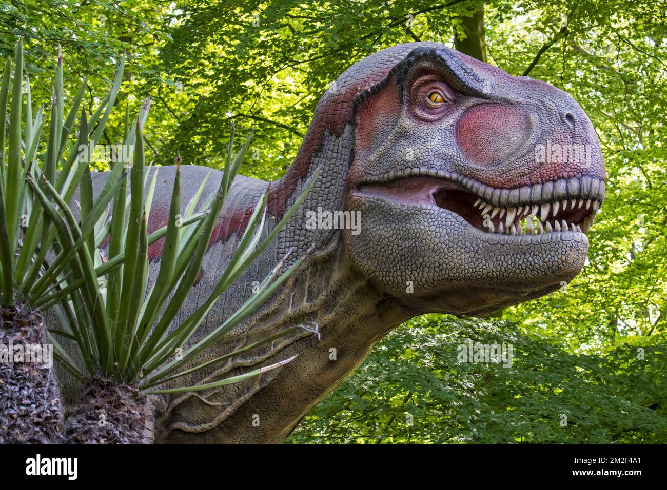 Realistic lifesize replica of Tyrannosaurus rex, coelurosaurian