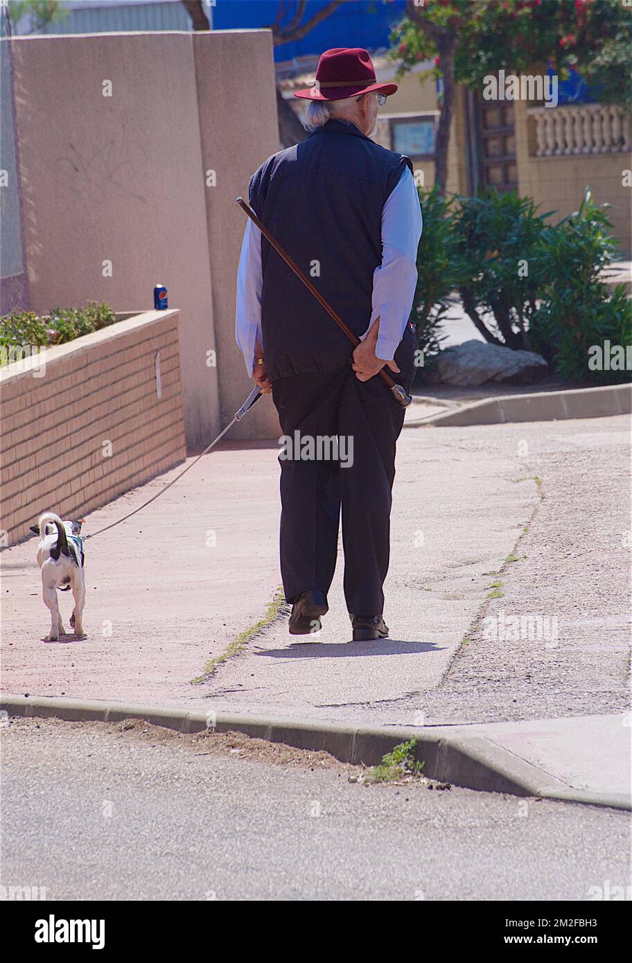 Walking with dog | Chien en promenade 07/05/2018 Stock Photo