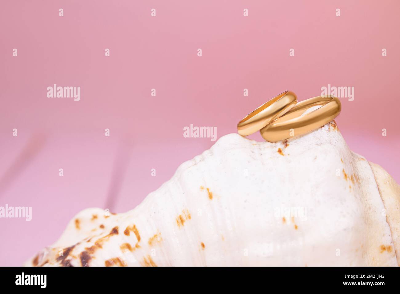 Two gold wedding rings on large shell on blurred pink background. Copy space Stock Photo
