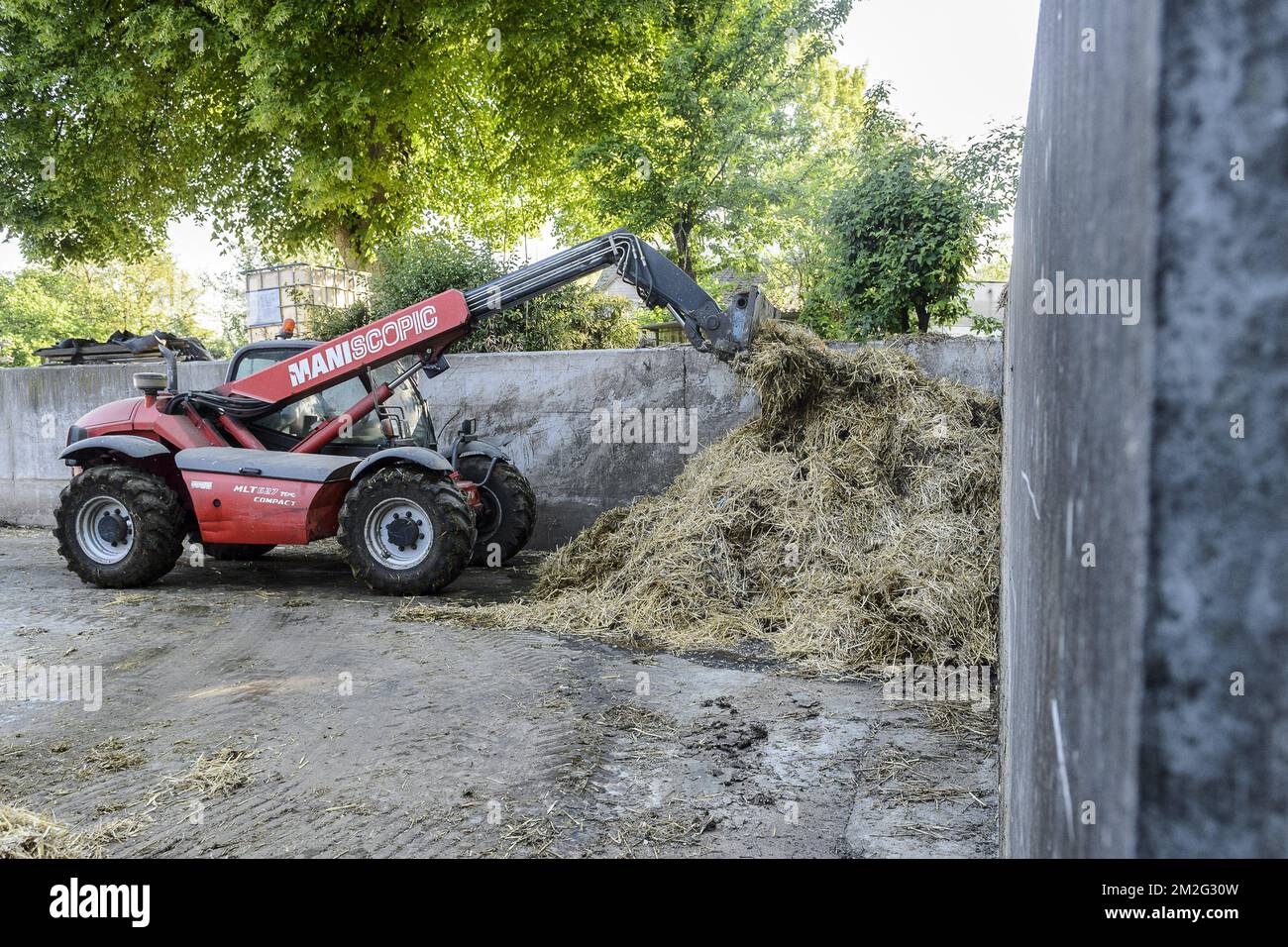Manure stack - Dunghill | Purin - Fumier en tas 17/06/2018 Stock Photo