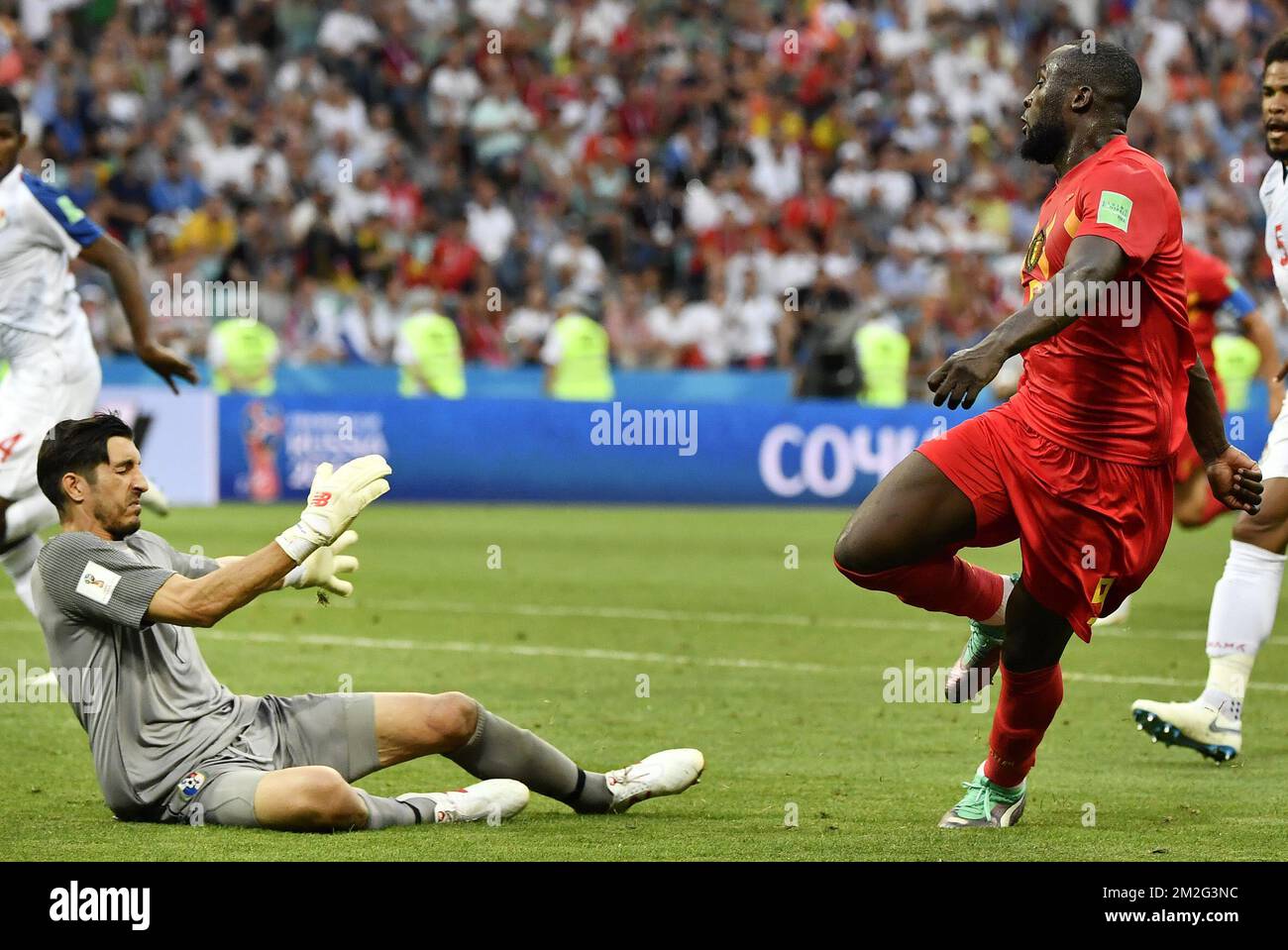 Panama's Jaime Penedo pictured as Belgium's Romelu Lukaku scores the 3-0 goal during the first round soccer match between Belgian national soccer team the Red Devils and Panama in Group G of the FIFA World Cup 2018, in Sochi, Russia, Monday 18 June 2018. BELGA PHOTO DIRK WAEM Stock Photo