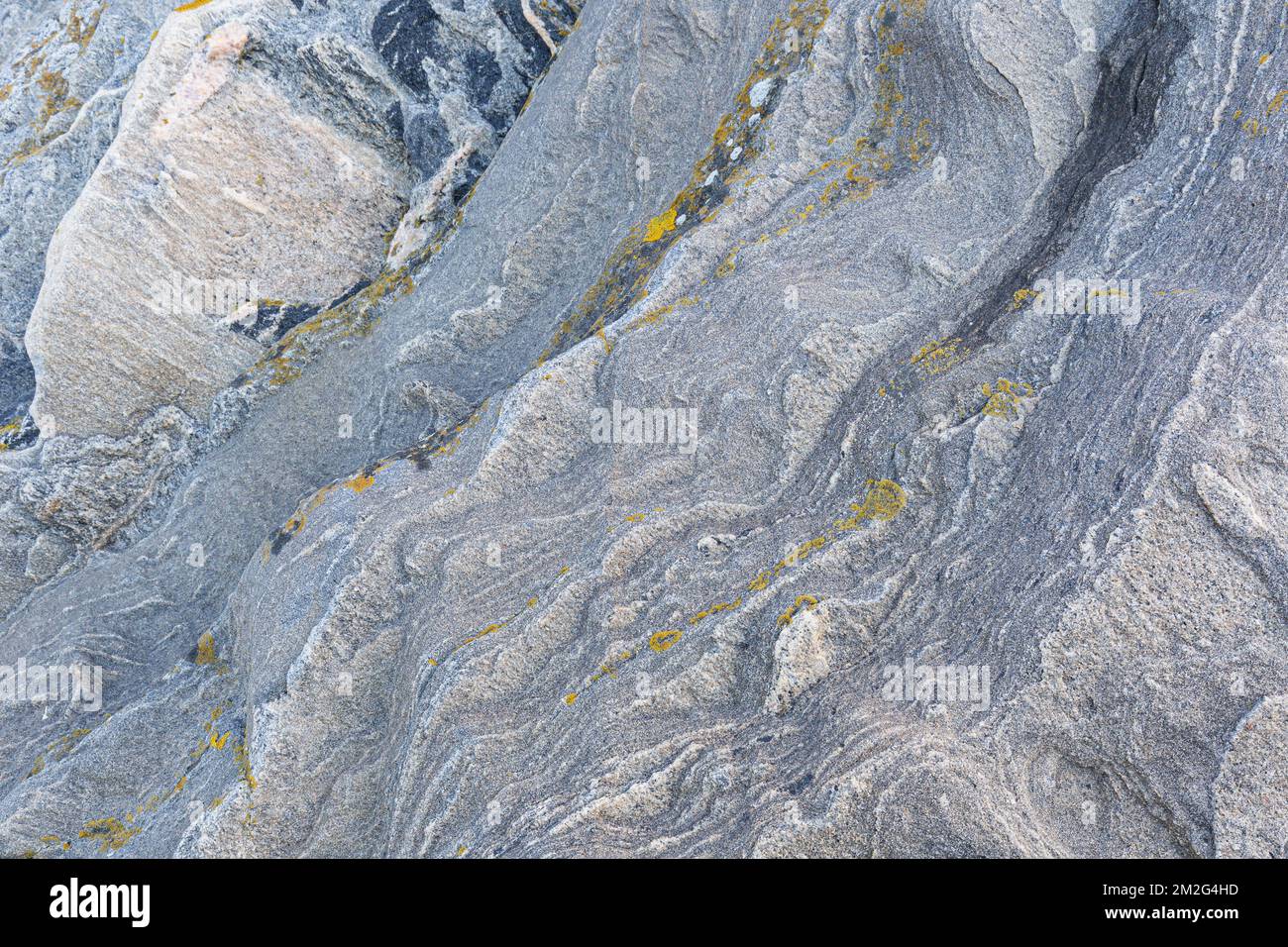 Close-up of a strange and beautiful rock surface with yellow lichen, side view. Abstract full frame natural textured background. Stock Photo