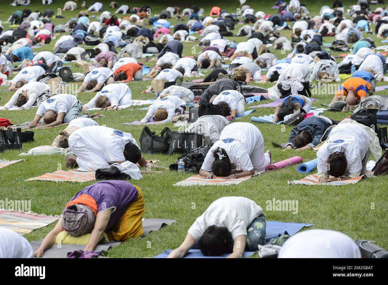 5th yogaday in Brussels | Cinquieme yoga day au bois de la Cambre a Bruxelles. Plusieurs centaines d'amateurs et debutants pratriquent ensemble differentes postures de yoga. 24/06/2018 Stock Photo