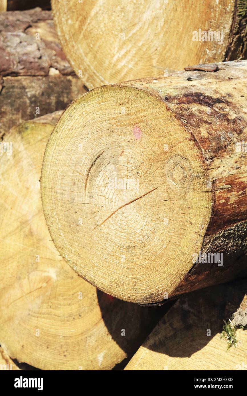 Coupe bois hi-res stock photography and images - Alamy