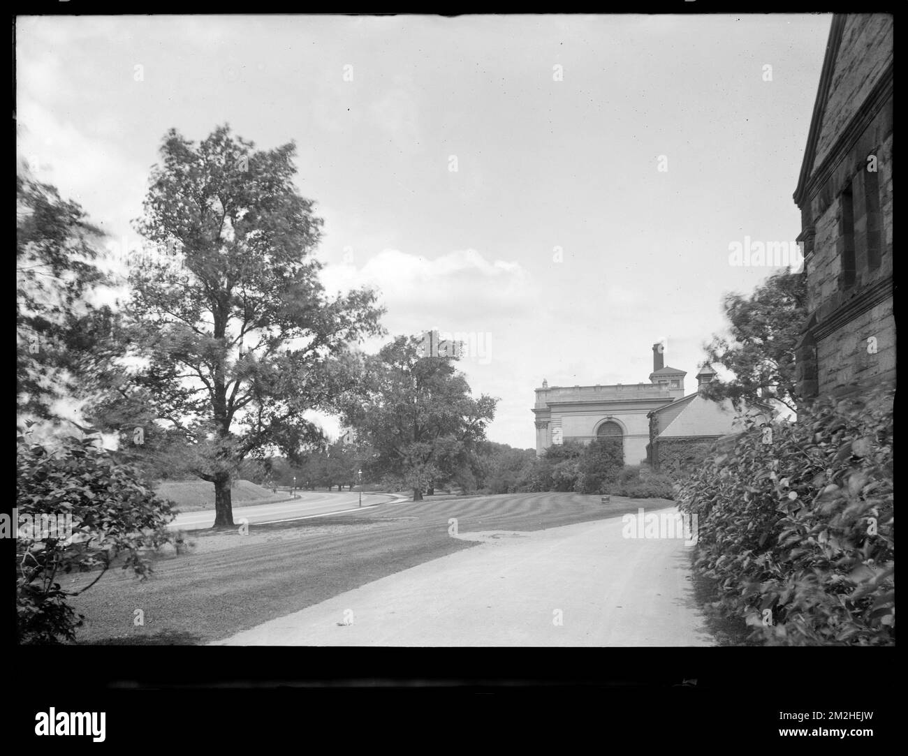Distribution Department, Chestnut Hill Reservoir, work on English Elm