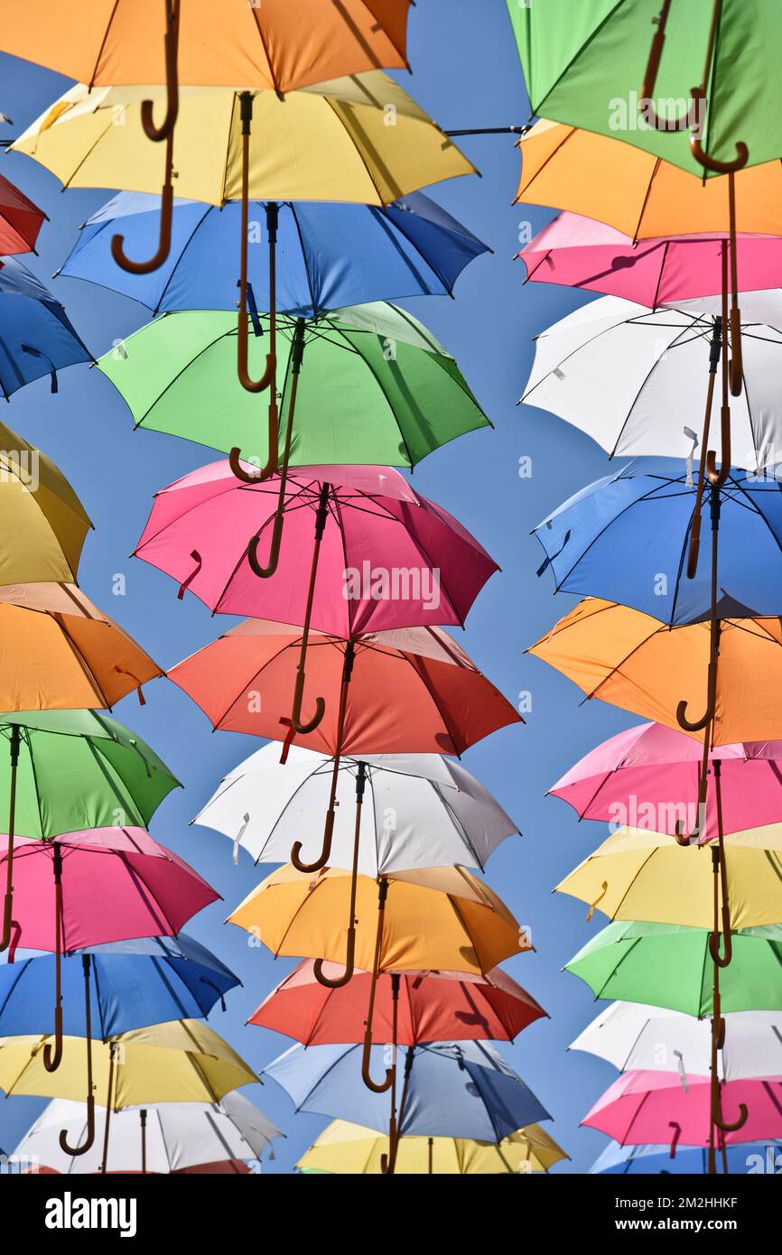 Summer in Bastogne Eté a Bastogne 06/08/2016 Stock Photo Alamy