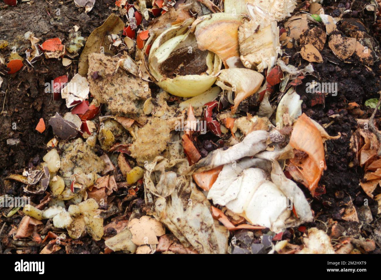 Defocus compost and composted soil cycle as a composting pile of rotting kitchen scraps with