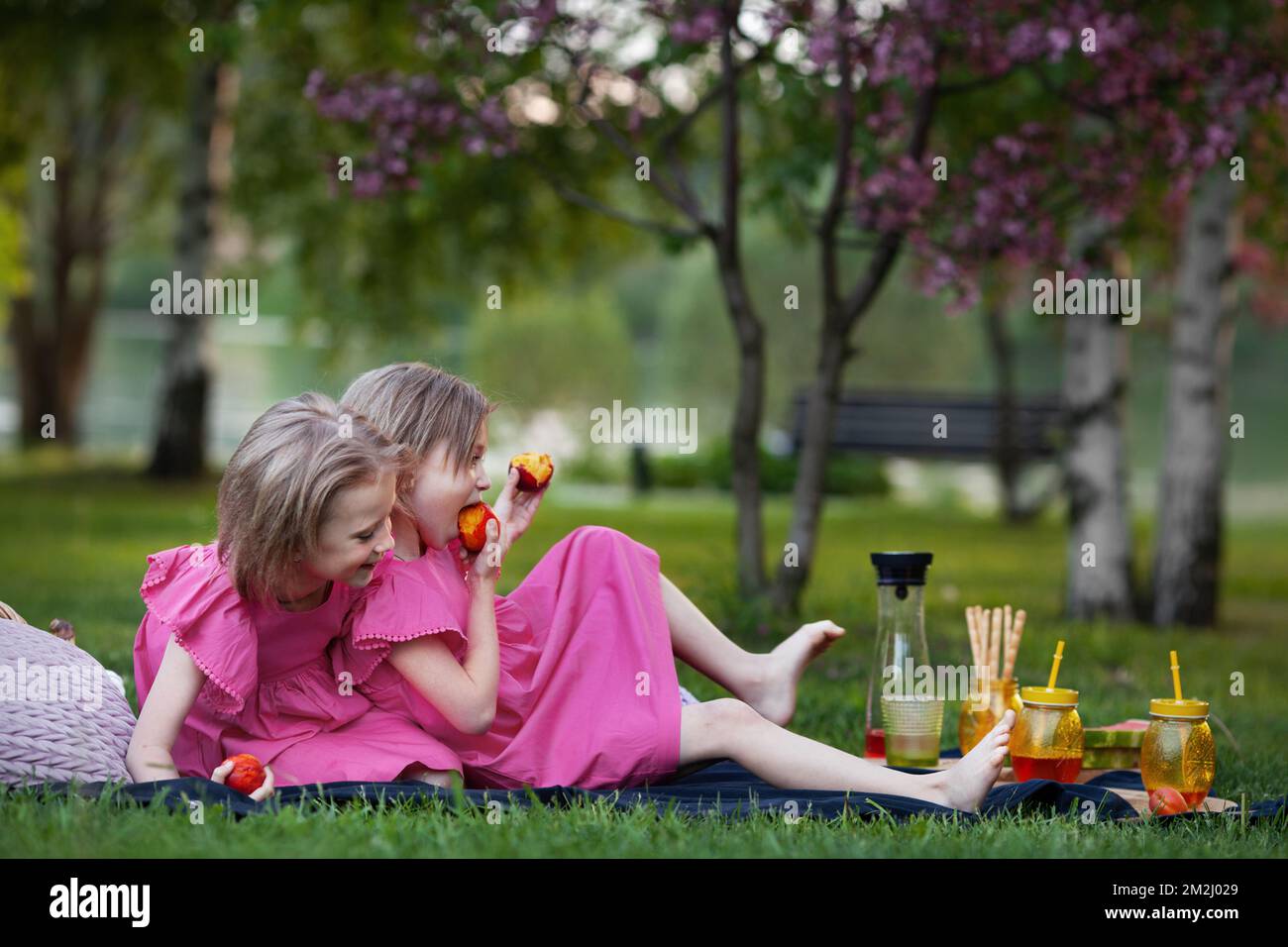 Small kids girl having fun and eating fruit on picnic in nature park. Children summer holidays Stock Photo