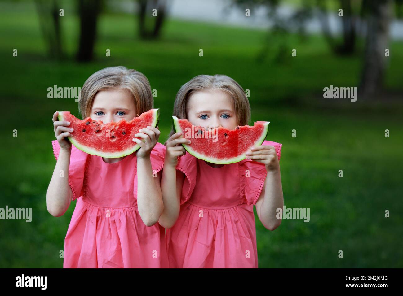Twin sisters with watermelon in their hands on background of grass