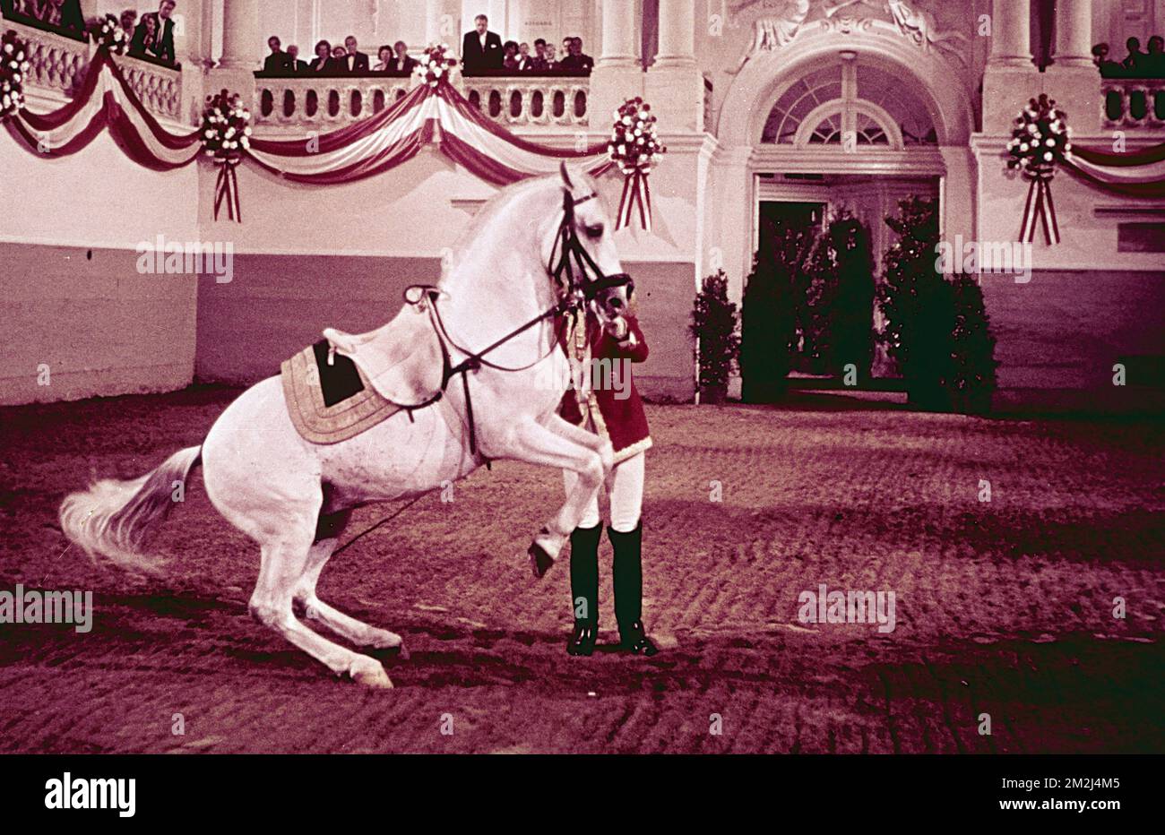 View of the Lipizzans horses and riders at the Spanish Riding School, Vienna, Austria 1960s Stock Photo