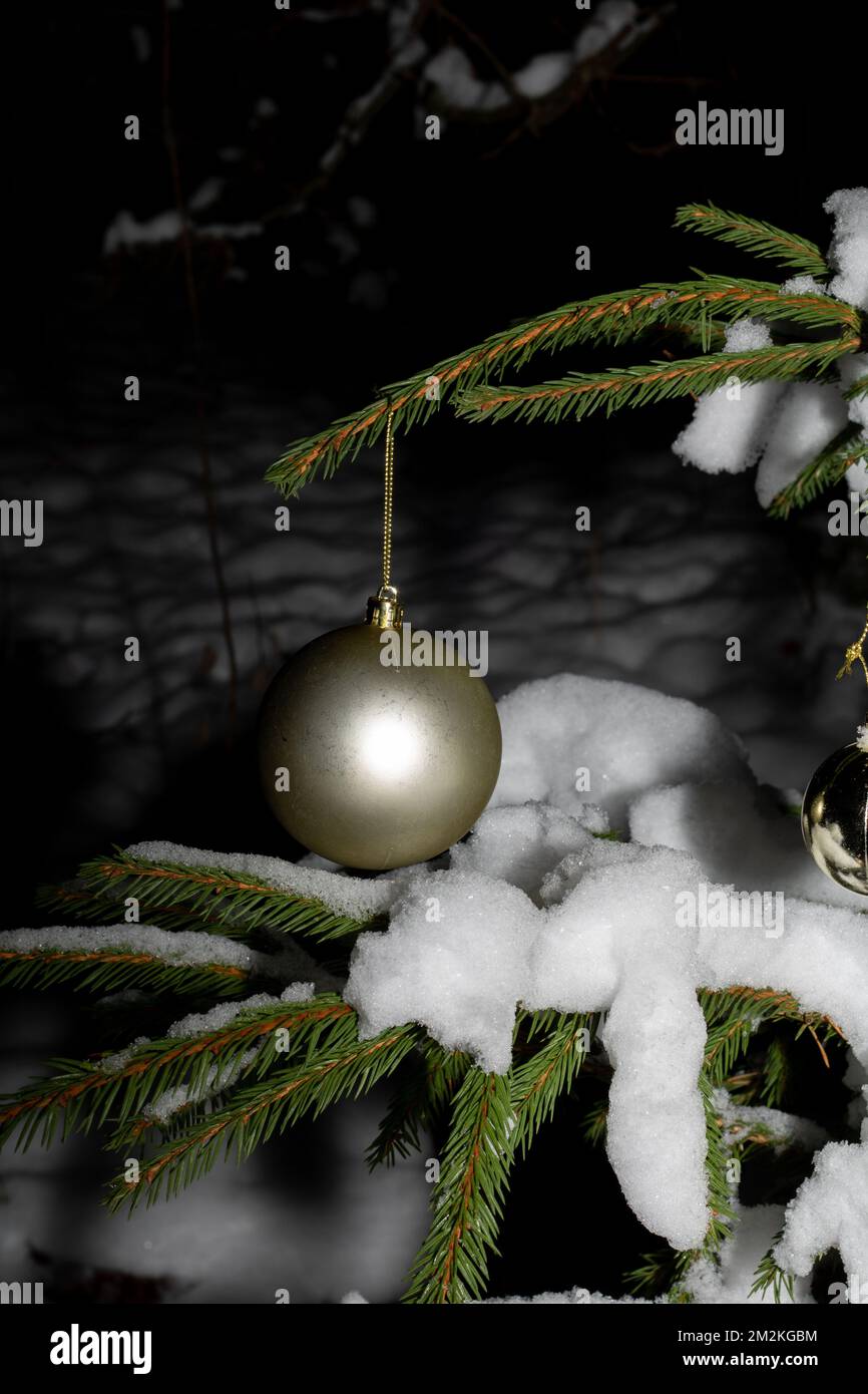 photo of a Christmas toy hanging from a spruce branch Stock Photo - Alamy