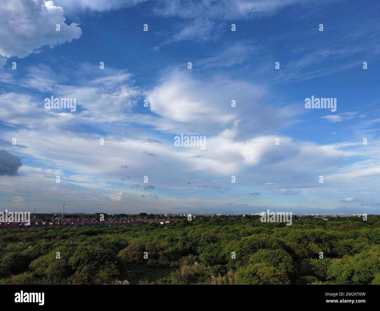 An aerial view of lush green field in a rural area under blue cloudy ...