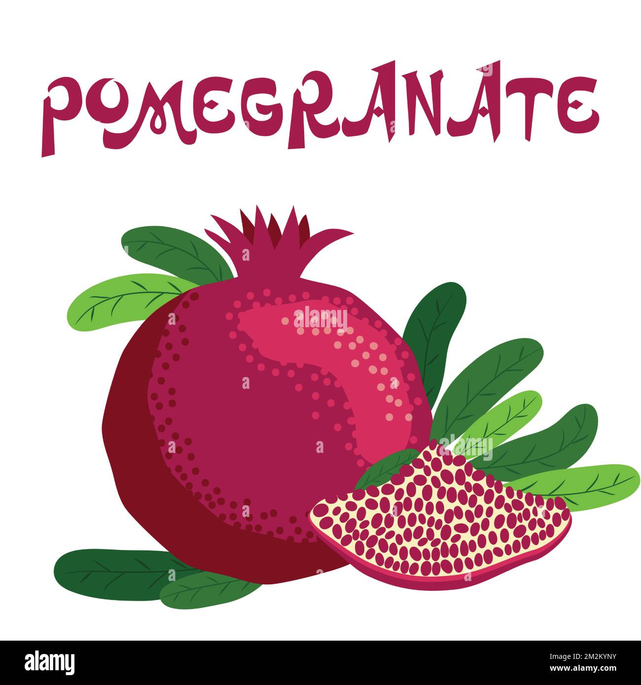 Set pomegranate fruit segment. Pomegranate whole and pieces, cut with