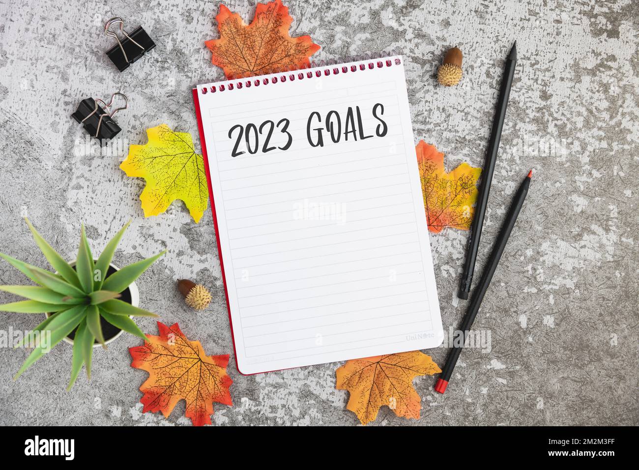 2023 goals hires stock photography and images Alamy