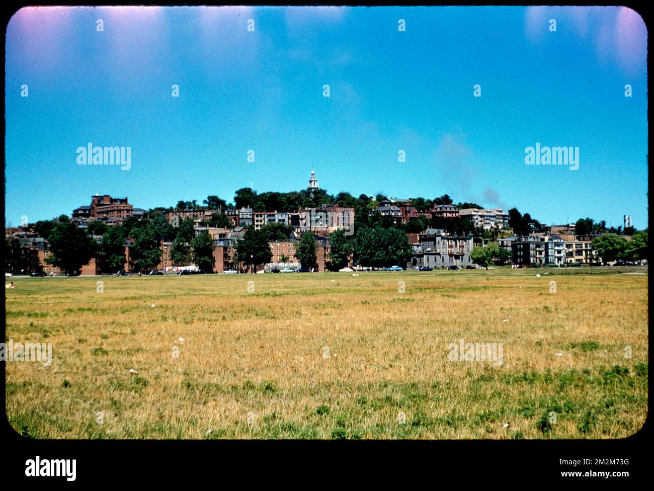 Dorchester Heights , Meadows, Cities & towns. Edmund L. Mitchell