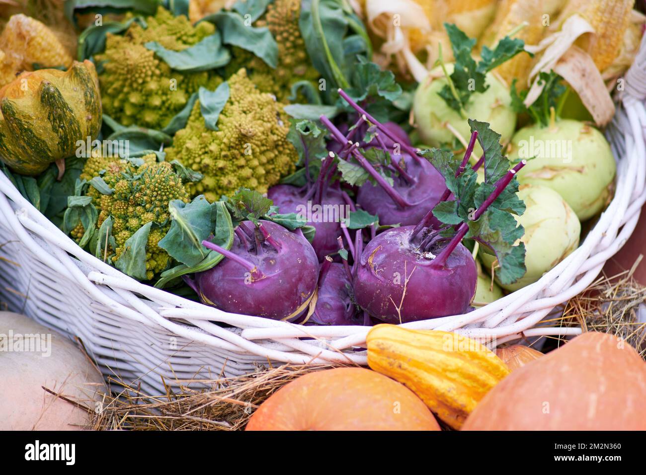 Harvest festival with autumn pumpkins and vegetables. Sale of agricultural crops on the outdoor market after the holiday Stock Photo