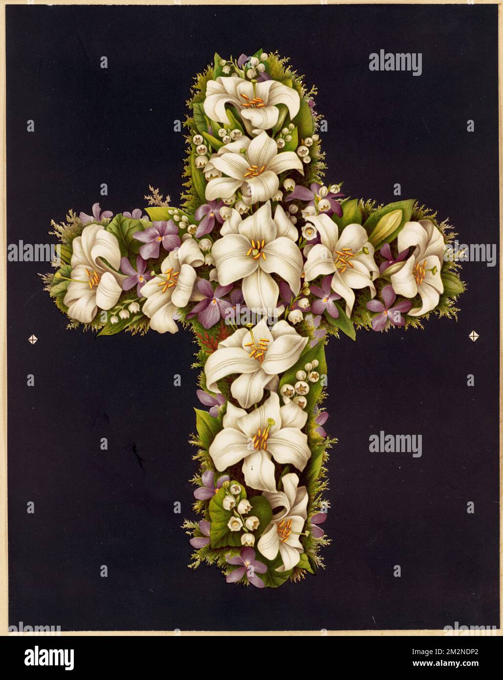 Easter lily cross , Lilies, Crosses. Louis Prang & Company Collection Stock Photo
