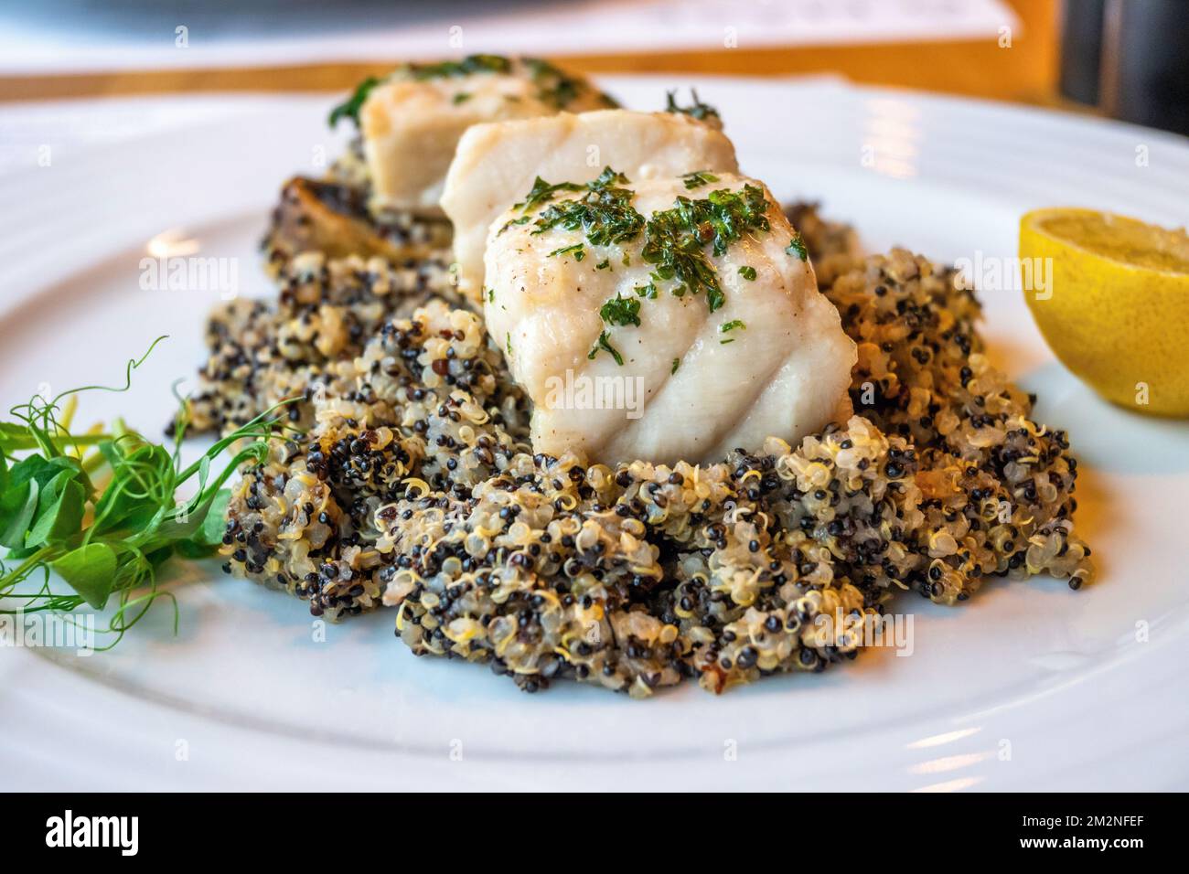 Baked sturgeon on quinoa with champignon mushroom, pea sprout and lemon on white plate, closeup. Stock Photo