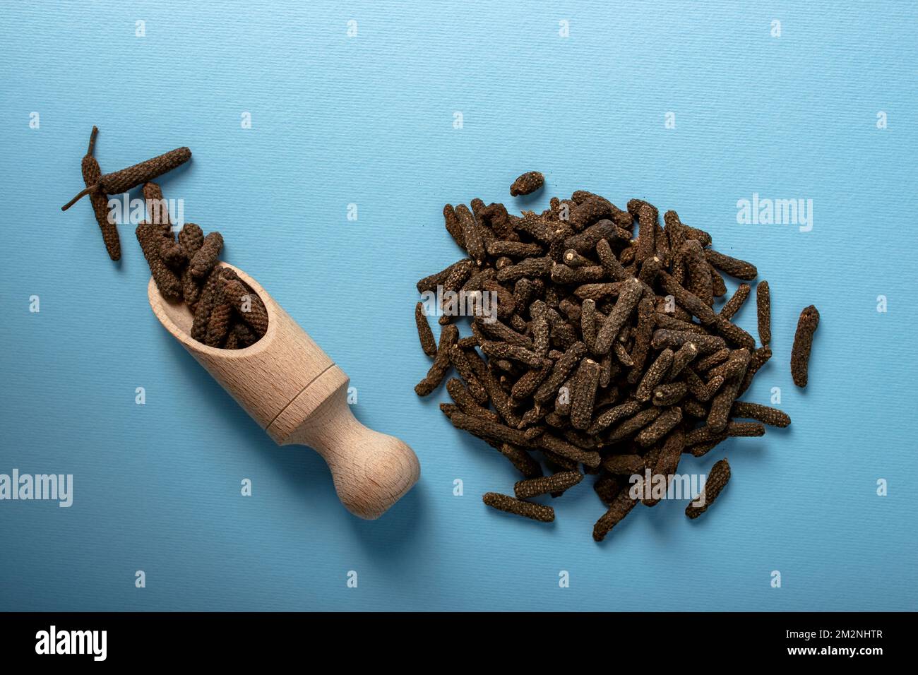 Dry Indian long pepper . Piper Longum ,Piper retrofractum, Long pepper
