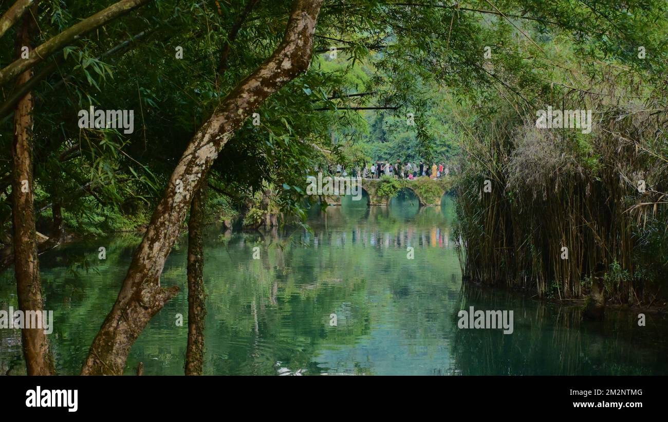 A beautiful shot of a lake in the middle of trees with a bridge in the ...