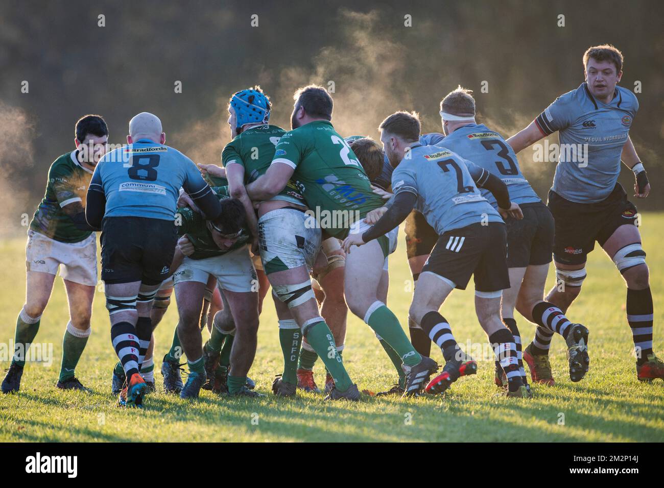 Rugby players in action Stock Photo