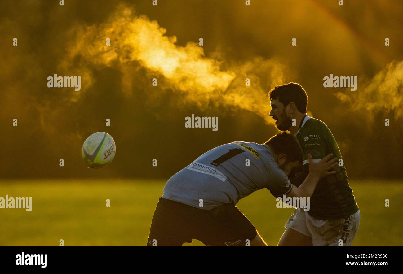 Rugby players in action Stock Photo Alamy