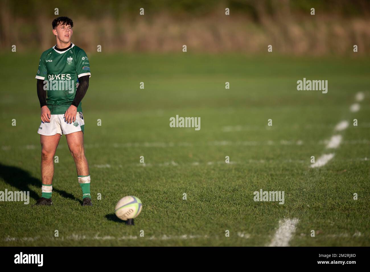 Rugby player lining up goal conversion kick Stock Photo Alamy
