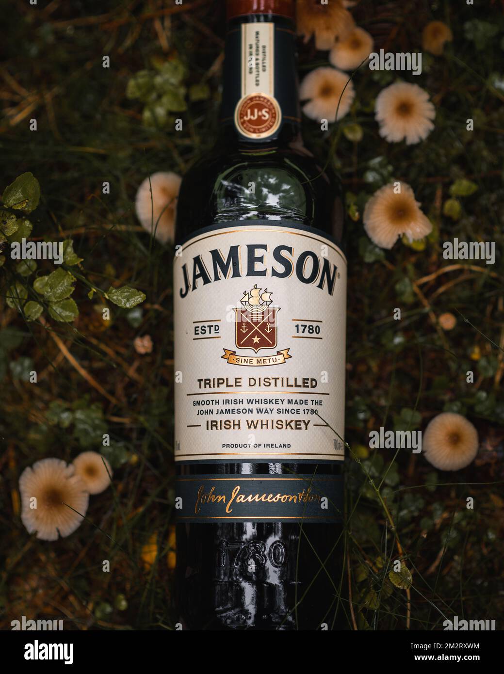 혹시 오크향? 나무향? 이런거 강한 위스키있나요? - 주류 채널, image size:1039x1390