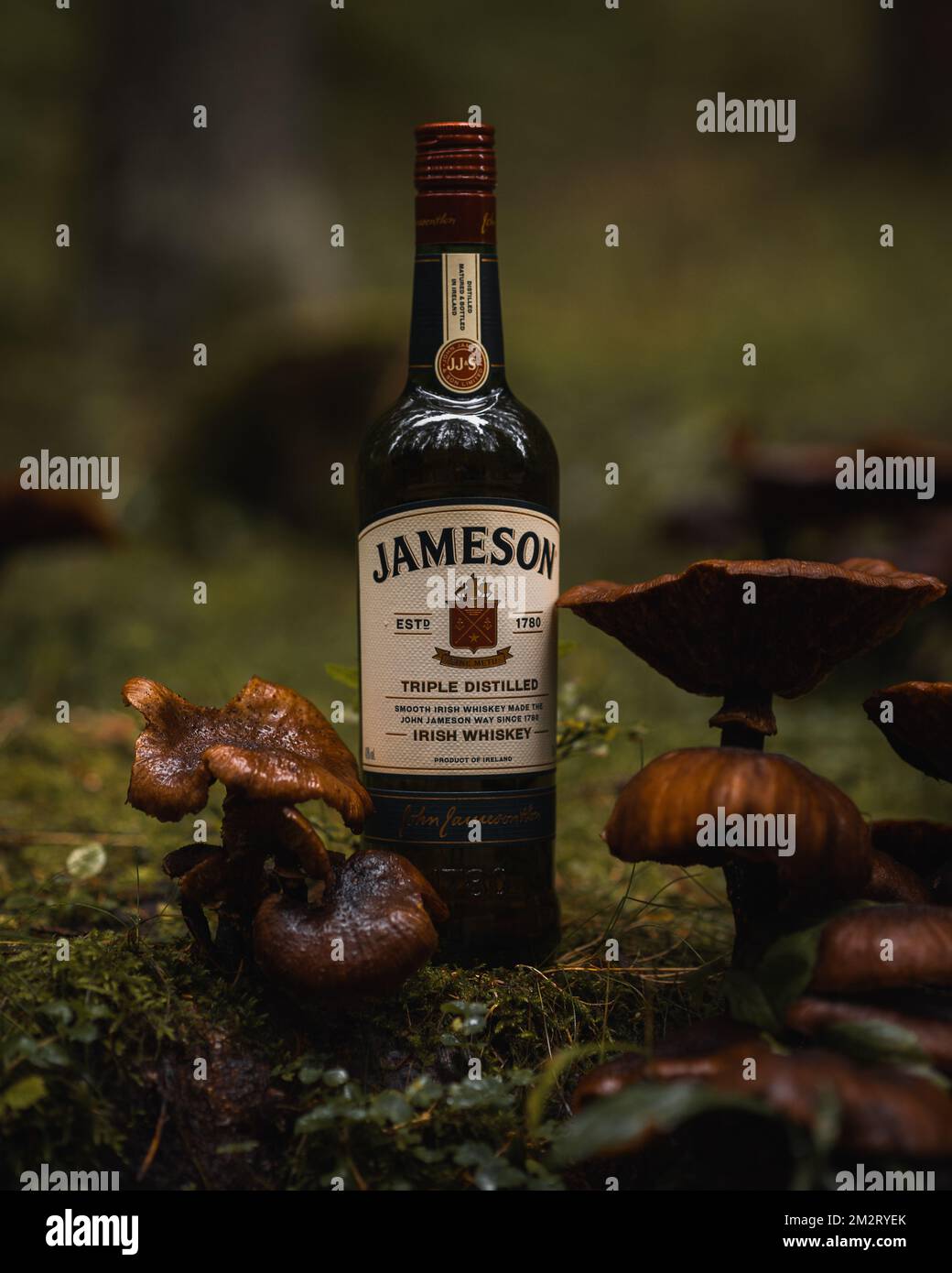 Jameson whiskey hi-res stock photography and images - Page 13 - Alamy, image size:1040x1390