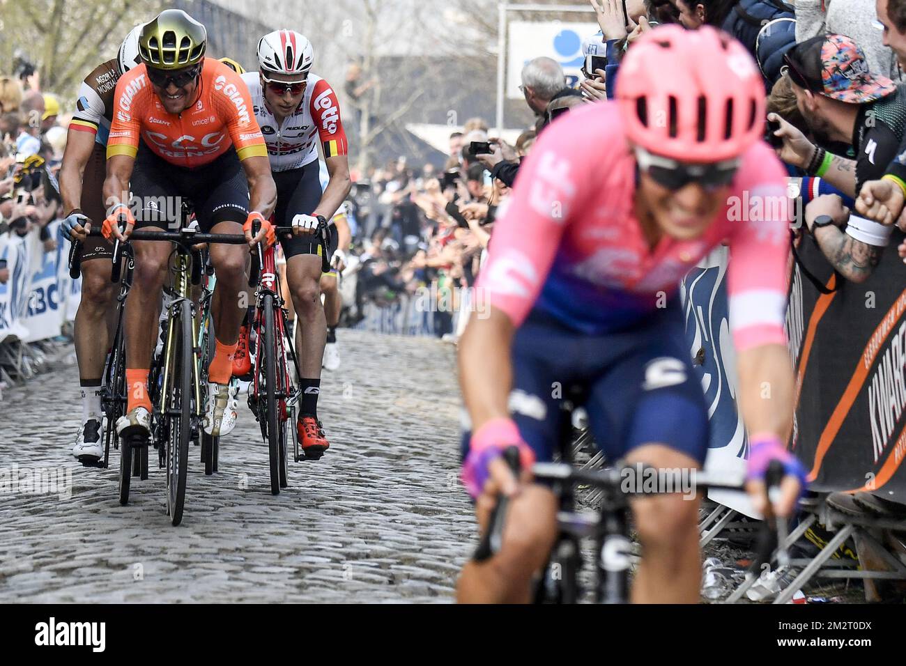 Ccc pro cycling team 2019 on sale