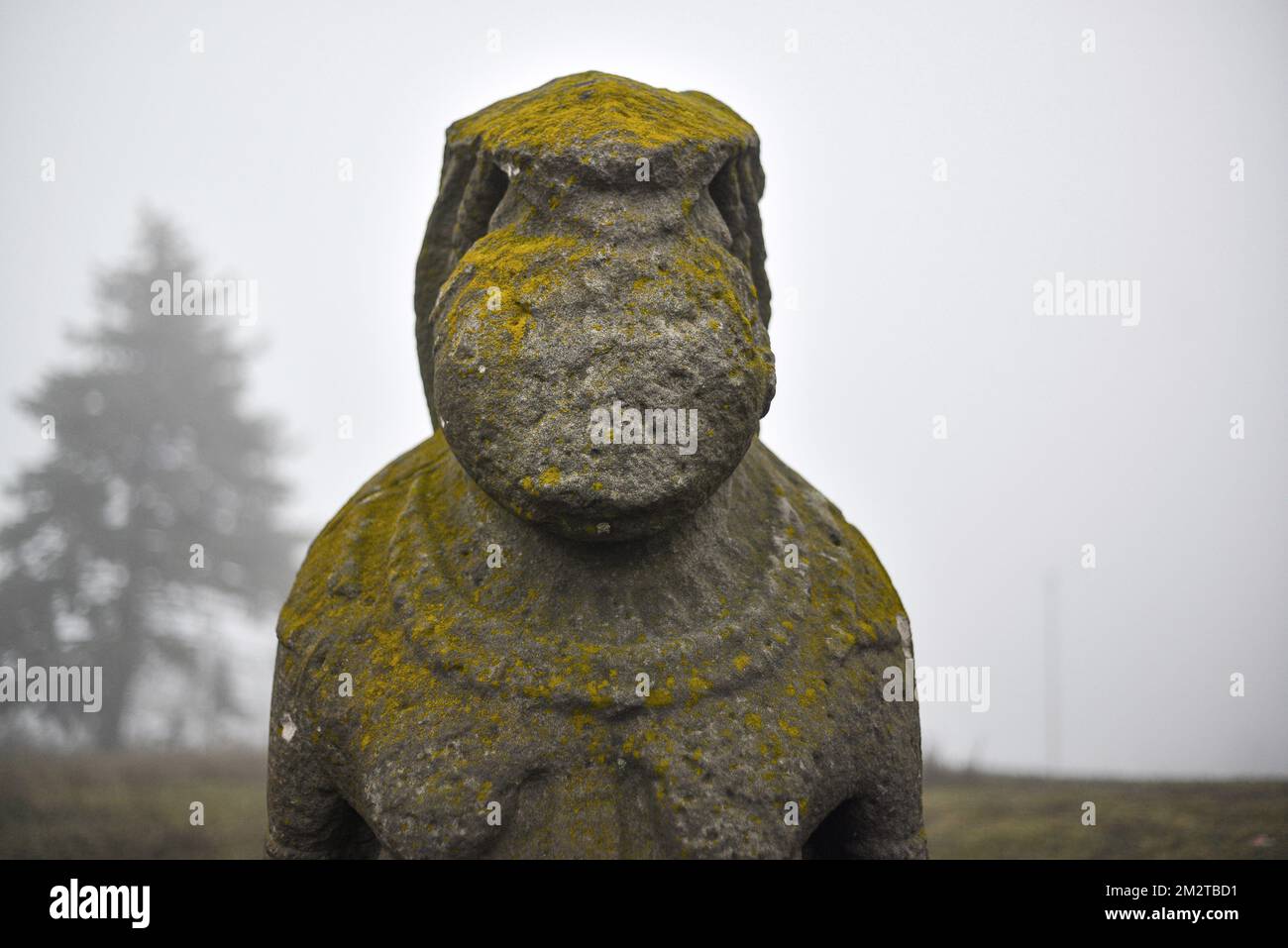 KHARKIV REGION, UKRAINE DECEMBER 13, 2022 A statue of a Polovtsian