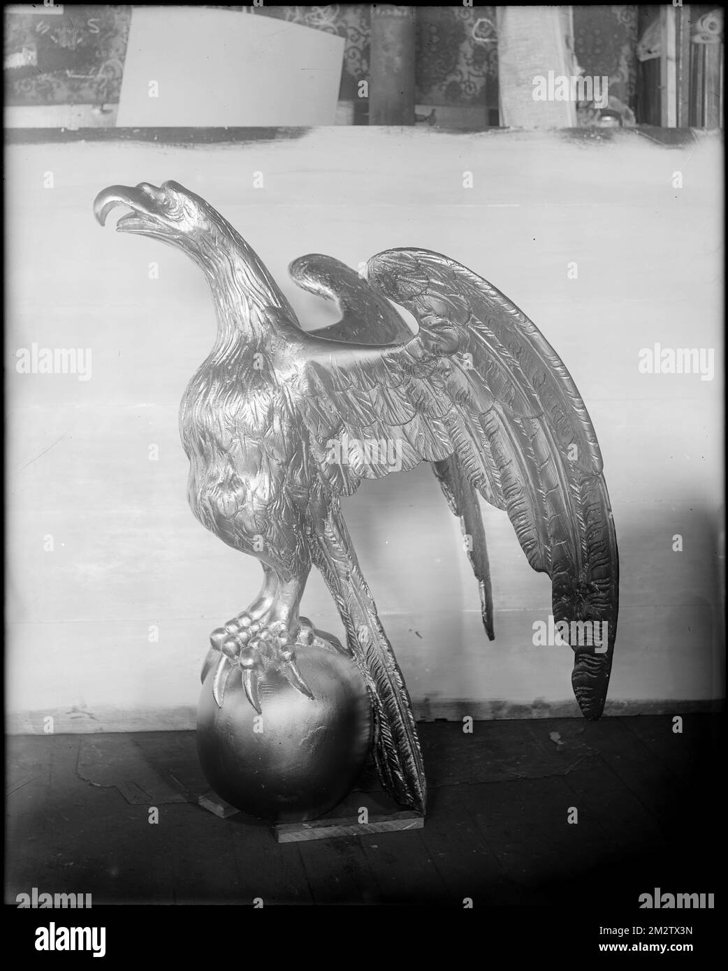 Eagle common Black and White Stock Photos & Images - Alamy