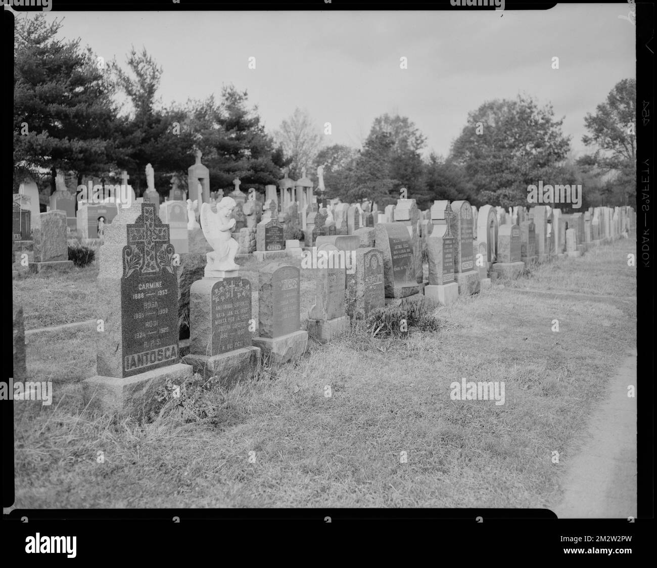 Fairchilds MacCarthy. John French. Forest Hills Cemetery. St. Michael's