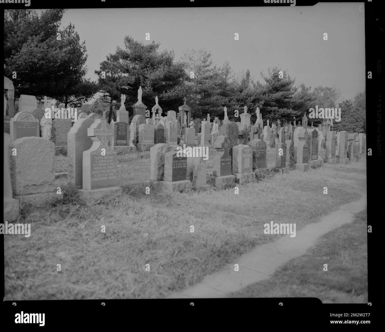 Fairchilds MacCarthy. John French. Forest Hills Cemetery. St. Michael's