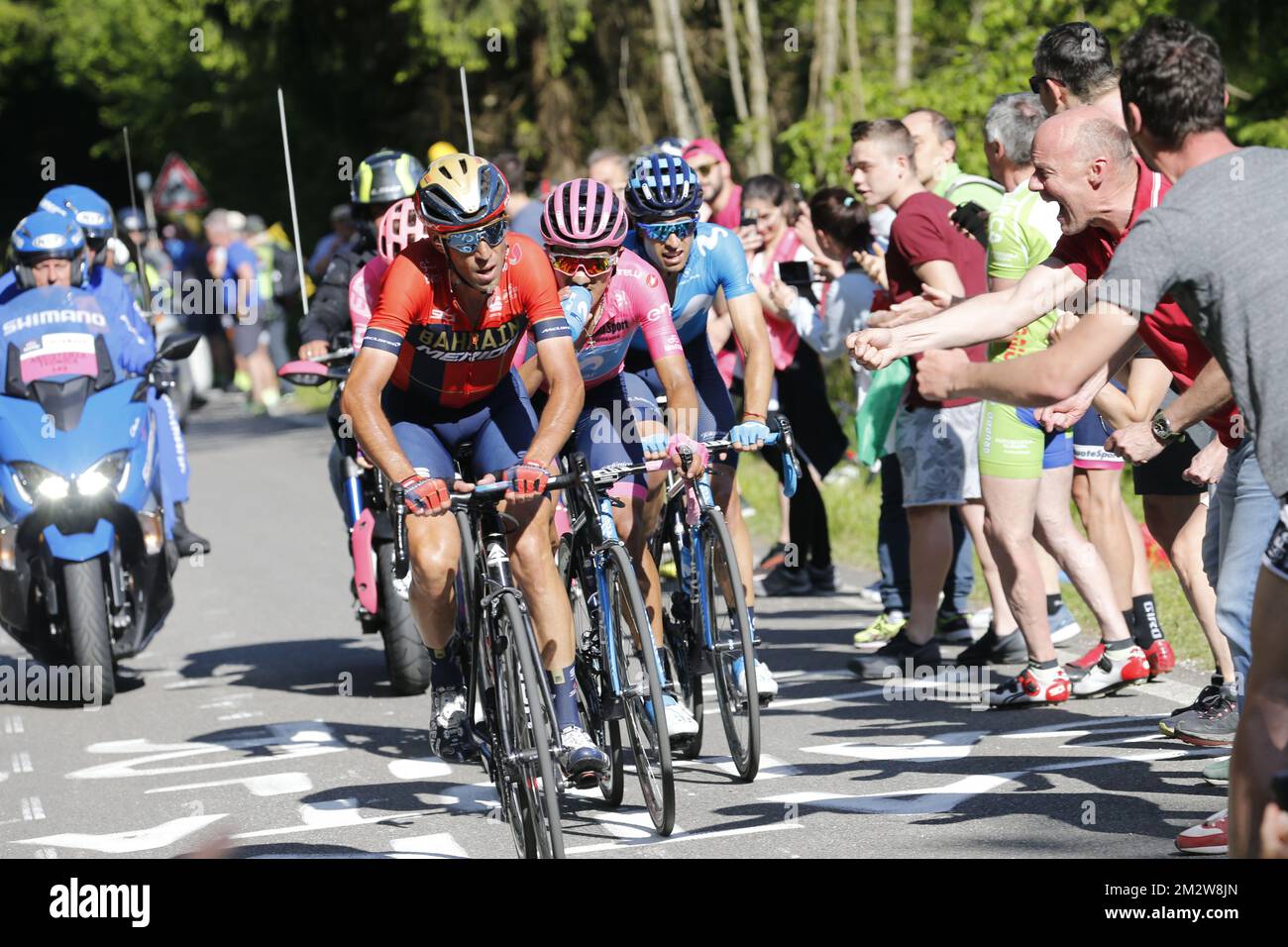 Italian Vincenzo Nibali of Bahrain-Merida and Ecuadorian Richard Carapaz of Movistar Team pictured in action during the twentieth stage of the 101st edition of the Giro D'Italia cycling race, 194km from Feltre to Croce d'Aune-Monte Avena, Italy, Saturday 01 June 2019. BELGA PHOTO YUZURU SUNADA FRANCE OUT  Stock Photo