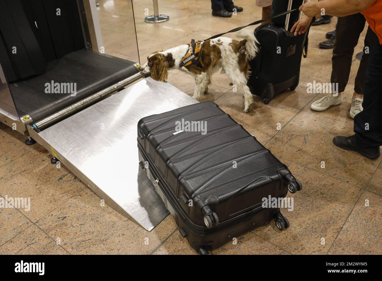 Illustration picture shows shows controls during the opening of a new ...