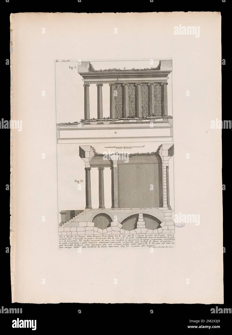 Fig. I. Profilo del Tempio della Fortuna Virile , Archaeological sites, Roman temples, Columns. The Antonio Cardinal Tosti Collection Stock Photo