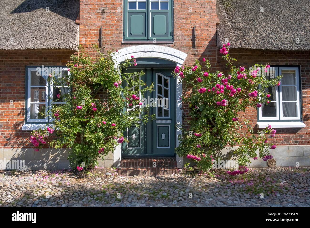 Thatched Frisian house, house entrance, rosebush, Foehr, North Frisian Island, North Frisia, Schleswig-Holstein, Germany Stock Photo