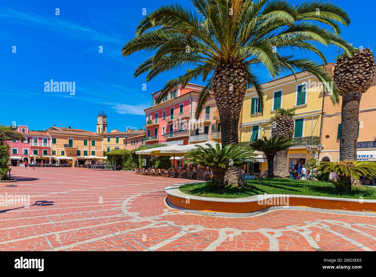 Palm trees (Arecales) at Piazza Giacomo Matteotti, Porto Azzurro, Elba, Tuscan Archipelago, Tuscany, Italy Stock Photo