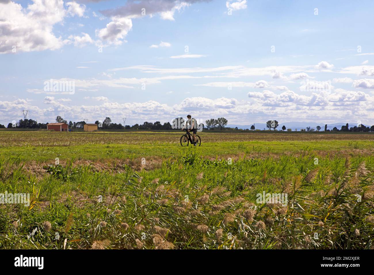 Man, 36, with e-bike on the Ciclovia del Sol, part of the Eurovelo 7, Enilia Romagna, Italy Stock Photo