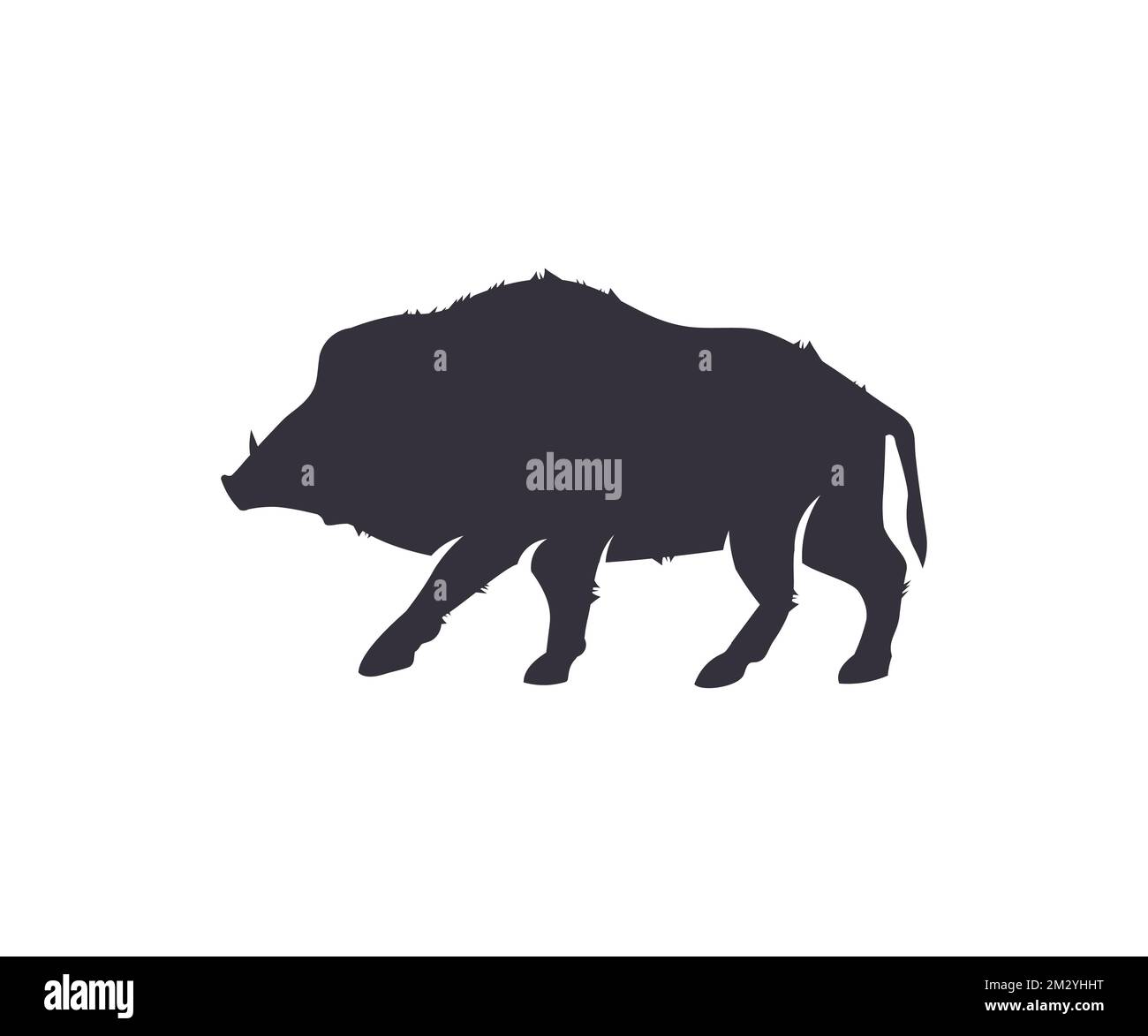Silhouette wild boar, also wild pig icon design. Natural environment, habitat, close up, Sus scrofa. Wild boar background pig  vector design. Stock Vector
