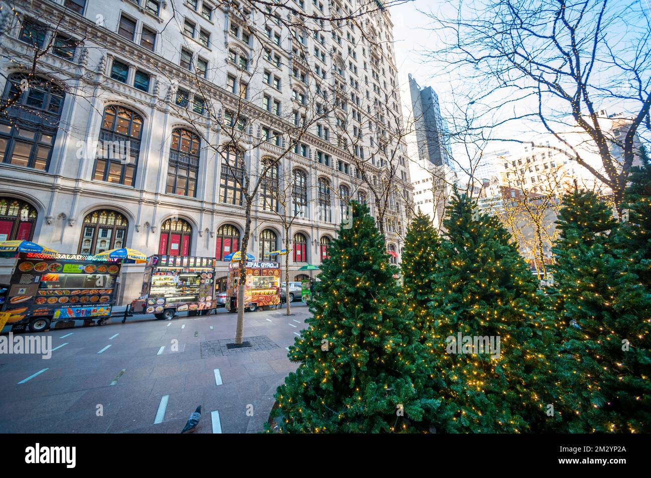 Food carts and Christmas trees in Zuccotti Park in Lower Manhattan in New York on Friday, December 9, 2022. (© Richard B. Levine) Stock Photo