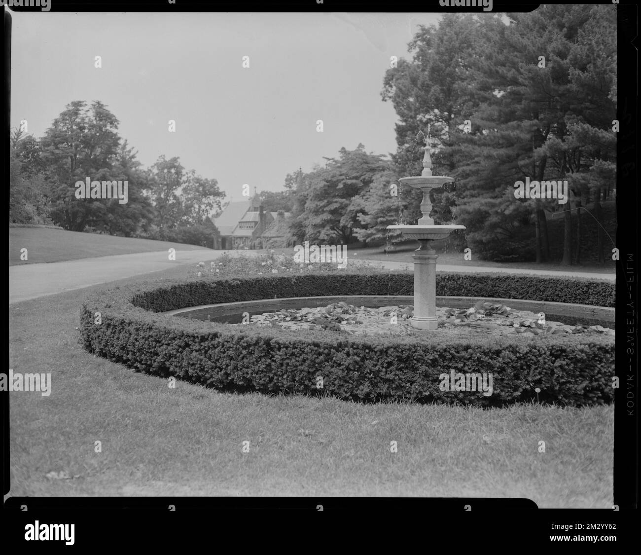 Forest Hill Cemetery. Fountain , Fountains, Cemeteries, Forest Hills