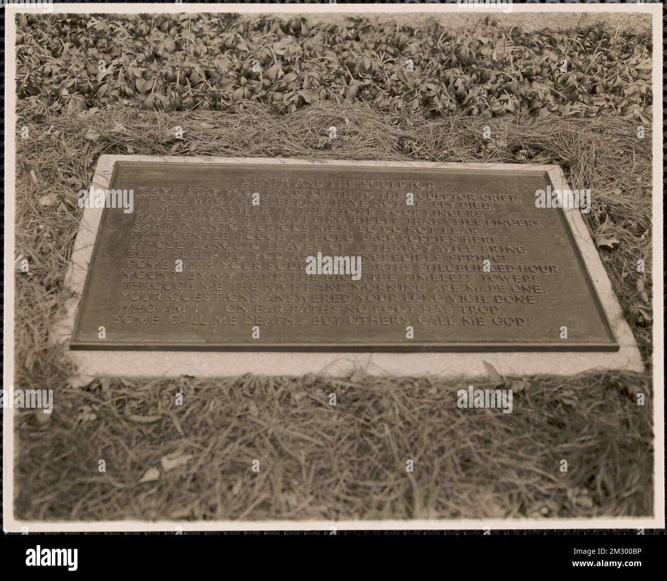 Milmore martin hires stock photography and images Alamy