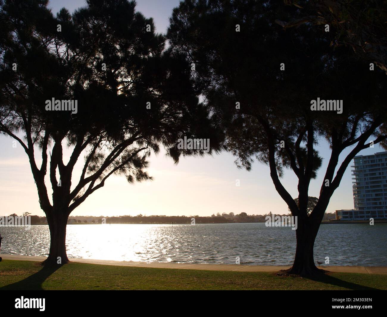 Trees against the lake during sunset in Mandurah, Western Australia Stock Photo