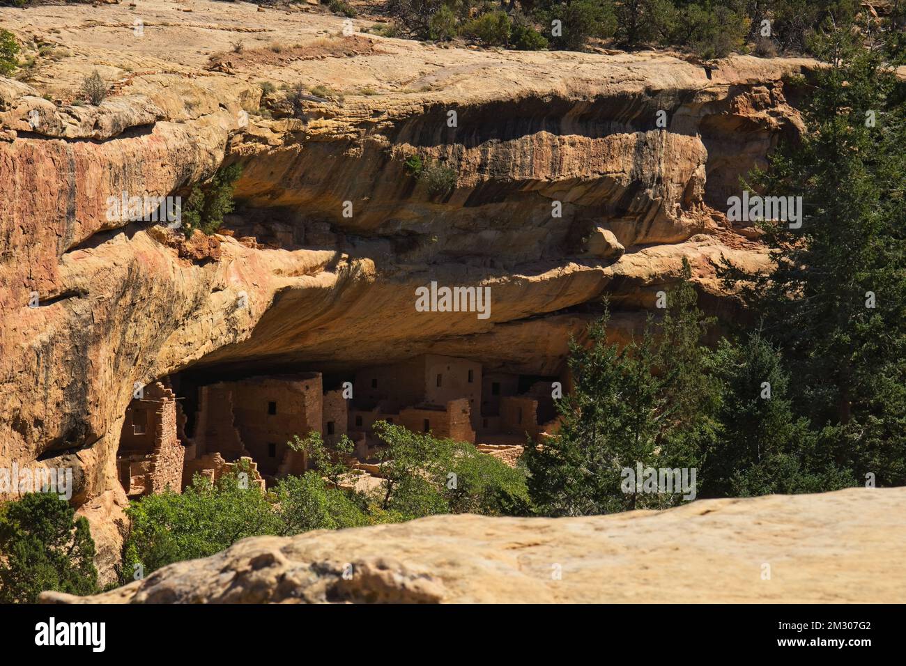The mesmerizing Cliff Palace in Mesa Verde National Park with preserved ...