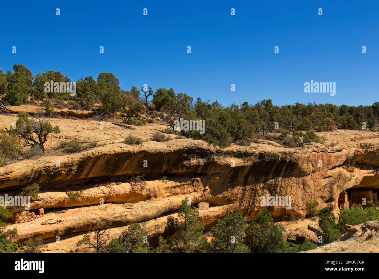 The mesmerizing Cliff Palace in Mesa Verde National Park with preserved ...