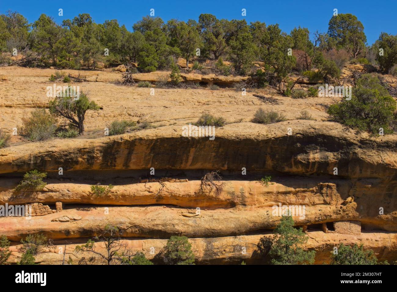 The mesmerizing Cliff Palace in Mesa Verde National Park with preserved ...