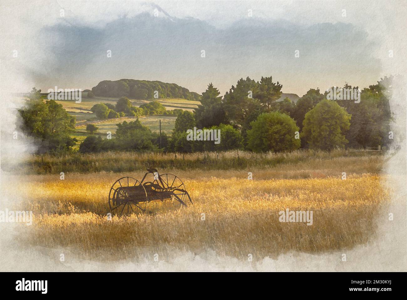 A digital watercolor rural landscape painting of an antique hay rake in a wheat field. Stock Photo