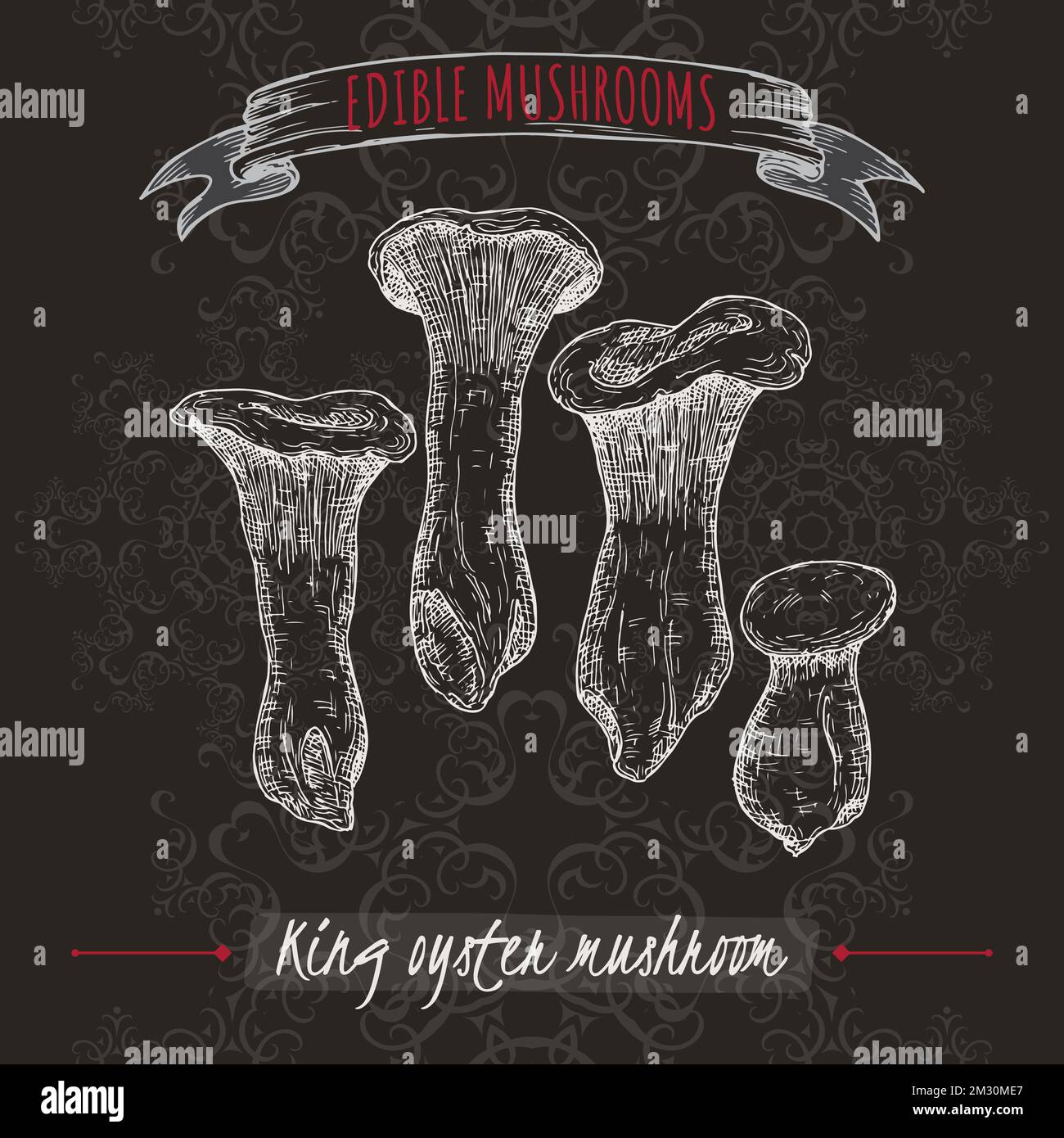 Pleurotus eryngii aka king oyster mushroom sketch on black background. Edible mushrooms series. Stock Vector